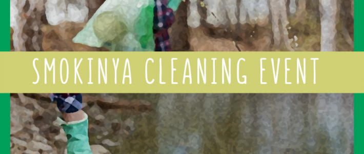 Smokinya cleaning activity