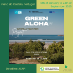 Green Aloha – Volunteer in a Surf Club in Portugal