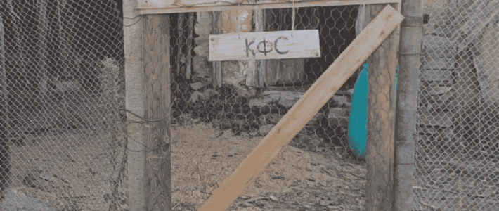 ESC volunteers update | Newest addition to the Smokinya foundation family ESC volunteers update | Newest addition to the Smokinya foundation family