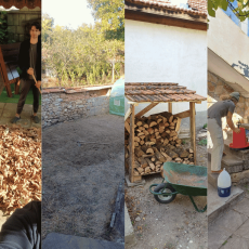 Wild Vibes – A rural retreat to reset and thrive | Weekly recap 70