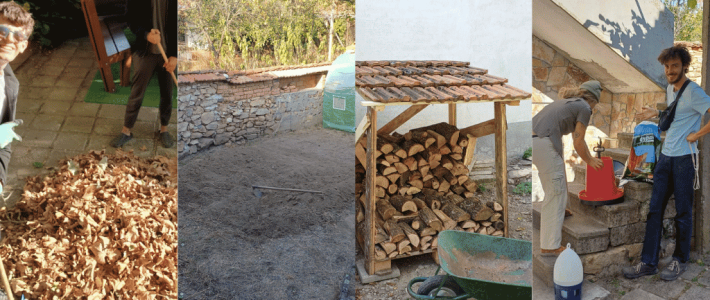 Wild Vibes – A rural retreat to reset and thrive | Weekly recap 70