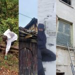 Wild Vibes – A rural retreat to reset and thrive | Weekly recap 71